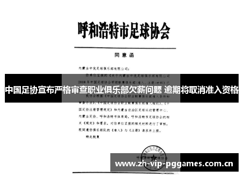 中国足协宣布严格审查职业俱乐部欠薪问题 逾期将取消准入资格 中国足协宣布严格审查职业俱乐部欠薪问题 逾期将取消准入资格